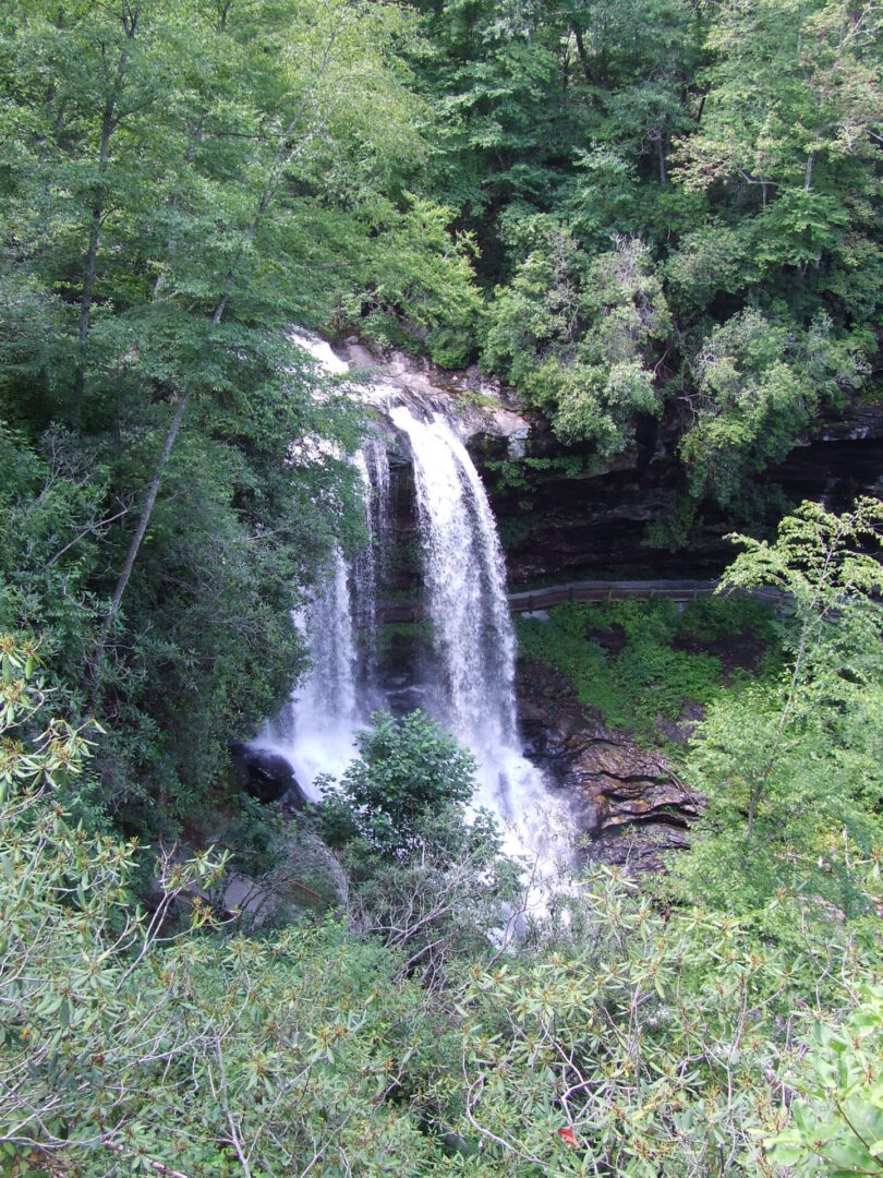 A waterfall surrounded by trees